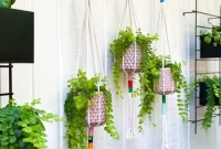 Knot Your Own Macrame Plant Hanger
