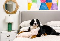 Pawsitively Clean Home Solutions