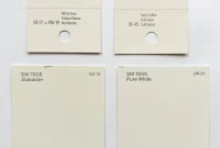 Benjamin Moore Swiss Coffee Your Perfect Fit