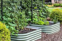 The Ultimate Guide to Vego Garden Beds: Pros, Cons, and Beyond