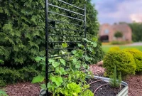 Stylish DIY Garden Trellis