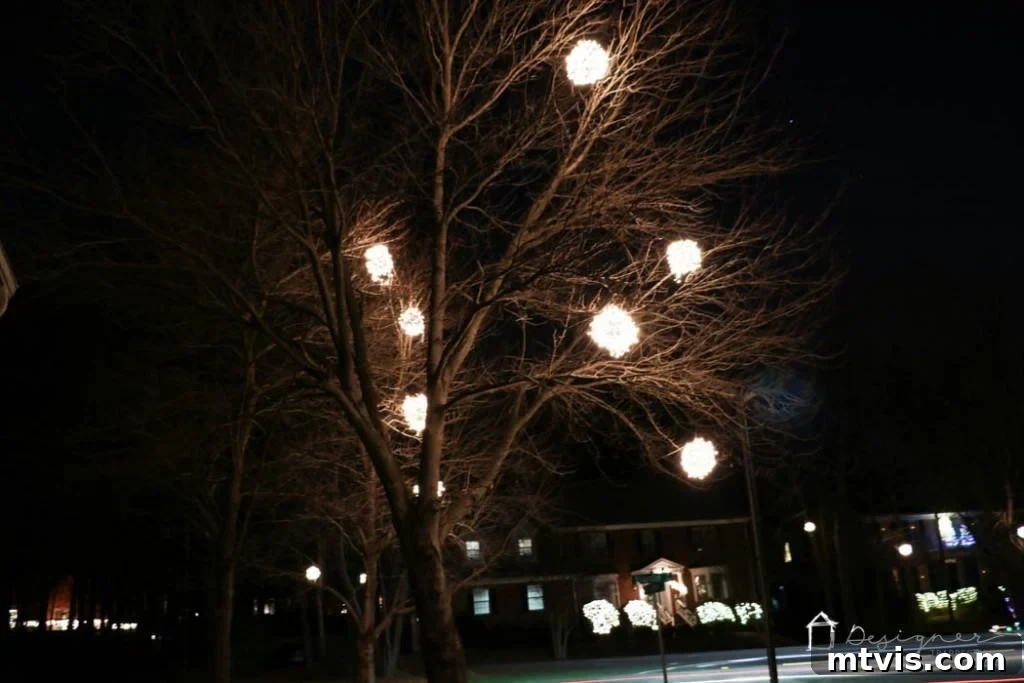 View of a house entrance adorned with numerous glowing white Christmas balls in the trees.