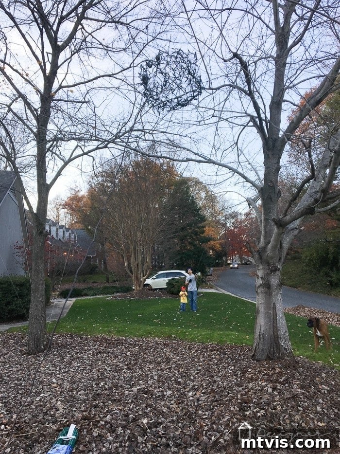 Using a lacrosse stick and string to carefully hoist a DIY lighted Christmas ball into a tree.
