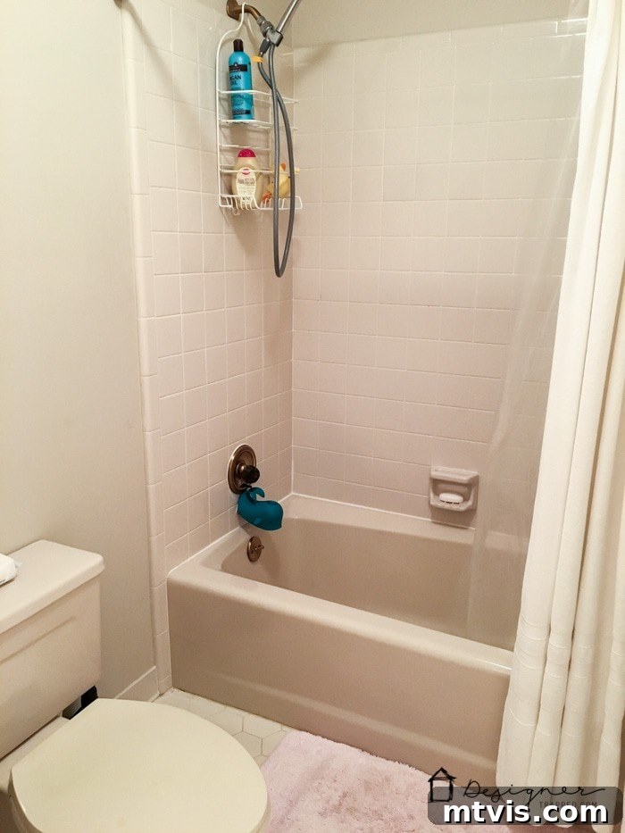 The original outdated bathroom, dark and lacking modern amenities, served as the starting point for an ambitious and budget-conscious DIY renovation project.