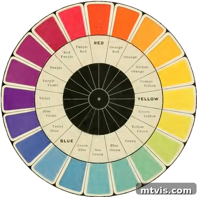 Unlock Your Home's Perfect Palette: Easy Paint Color Selection 11 Color wheel illustrating the psychology of warm and cool colors.