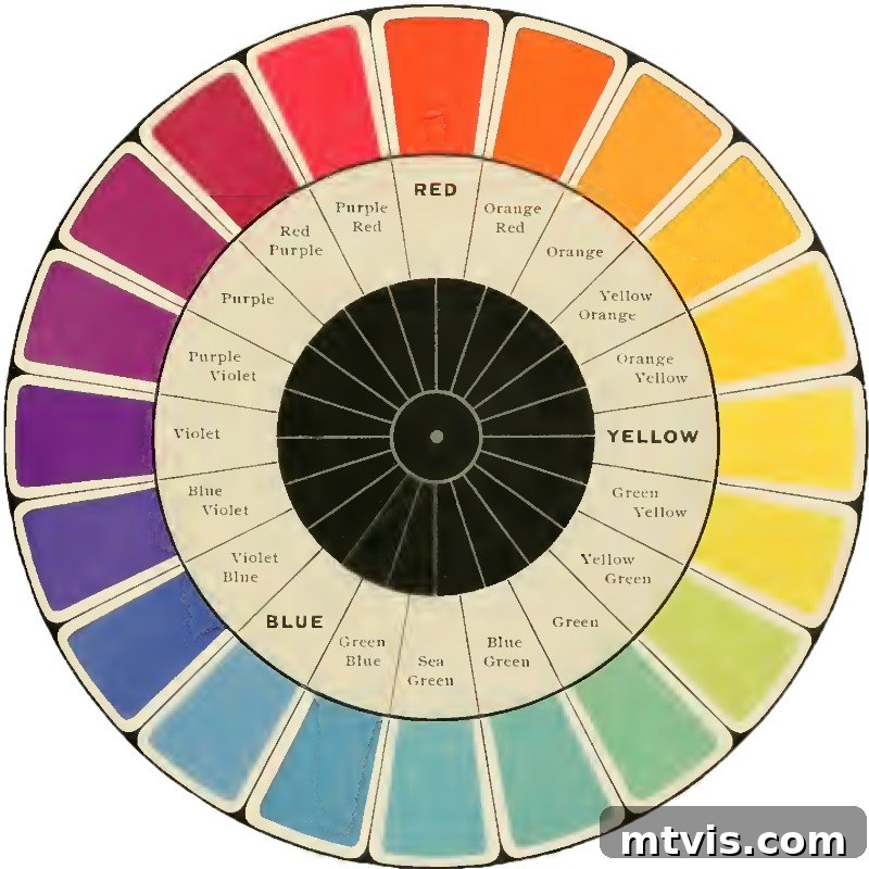 Unlock Your Home's Perfect Palette: Easy Paint Color Selection 4 Color wheel illustrating warm and cool color families for understanding paint undertones.