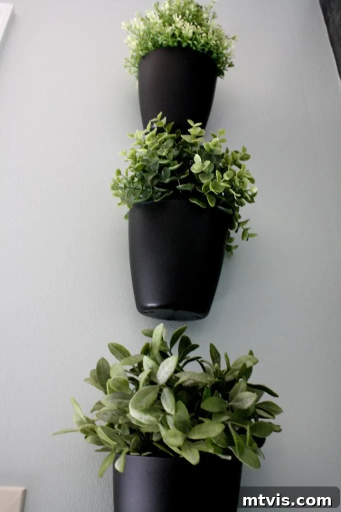Vertical succulent garden adding a fresh, natural element to the budget kitchen decor.