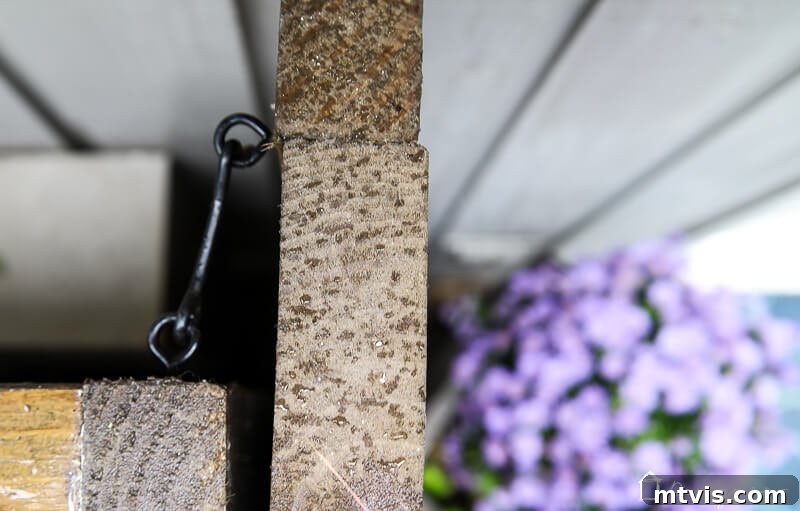 Overhead view of a finished gate door, showing the hook and eye latch closure mechanism in detail.