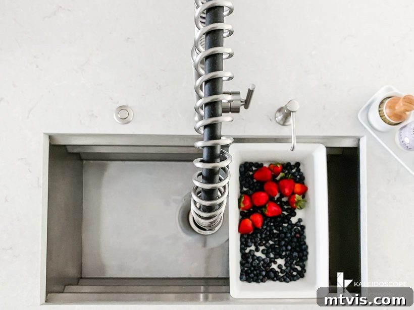 kohler prolific sink, showing its integrated colander and drying racks
