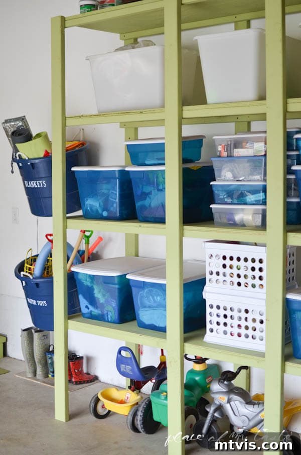Painted DIY garage shelving system, neatly organized with storage bins.