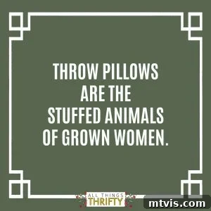 5 Room Transformations Under 100 Dollars, Including Free Options 4 Humorous meme about a partner's love for throw pillows, highlighting their versatility in home decor.
