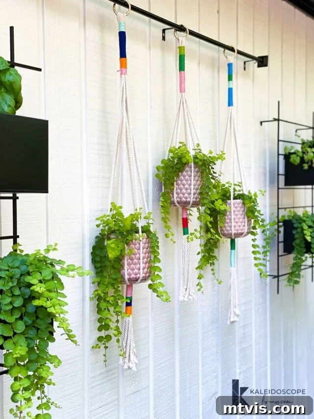 Knot Your Own Macrame Plant Hanger 2 Vibrant DIY macrame plant hangers displayed outdoors, showcasing a blend of colors and natural textures.