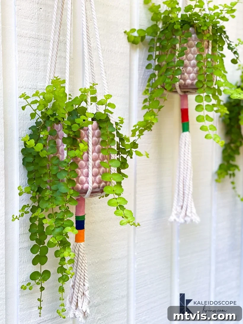 Knot Your Own Macrame Plant Hanger 10 A closer view of the colorful macrame plant hangers, highlighting the intricate yarn wrapping.
