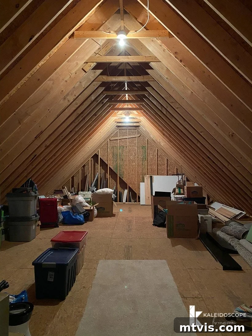 Unboxing Our New House: The Raw Tour Part 2 12 First attic space, showing ample storage area and easy accessibility.