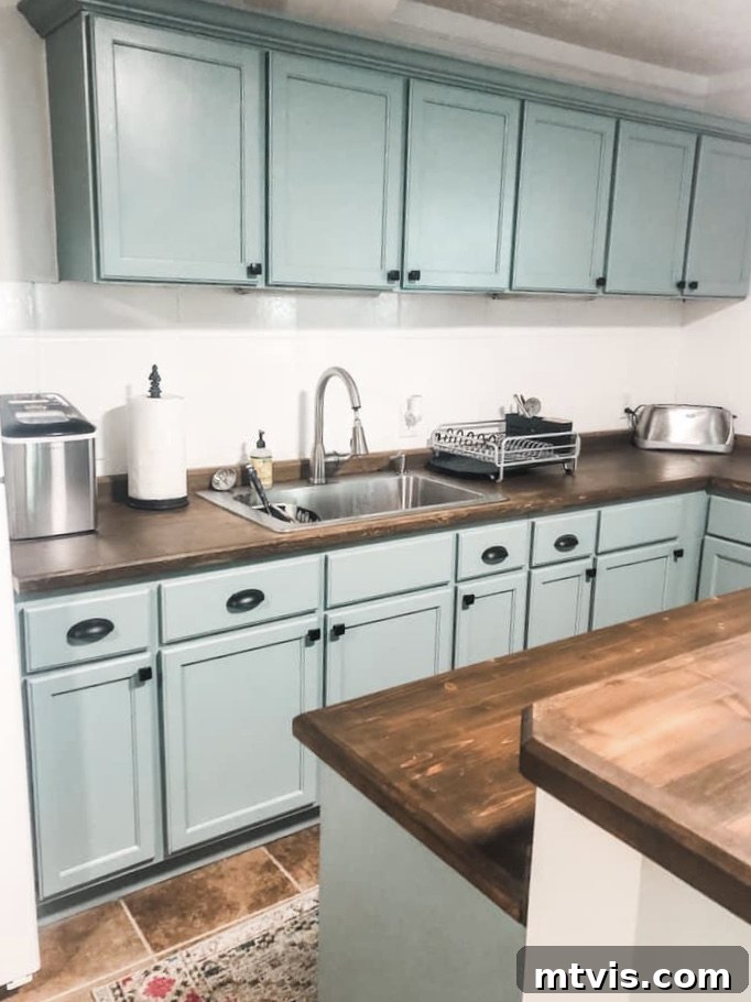 Designer in a Binder: Customer Success Stories 63 DIY renovated basement kitchen