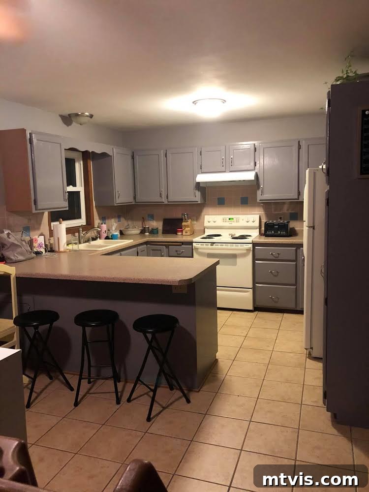 Designer in a Binder: Customer Success Stories 66 dark outdated kitchen