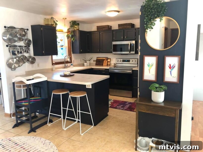 Designer in a Binder: Customer Success Stories 67 remodeled kitchen with painted cabinets