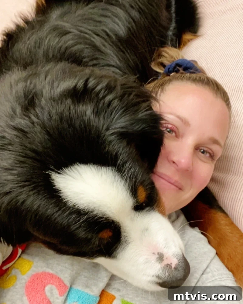 Woman snuggling a Bernese Mountain Dog, illustrating the joy of pet ownership despite potential messes.