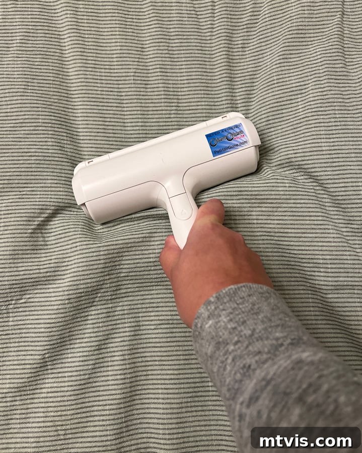 Chom Chom pet hair remover, shown as an effective tool for removing dog hair from surfaces that cannot be vacuumed.