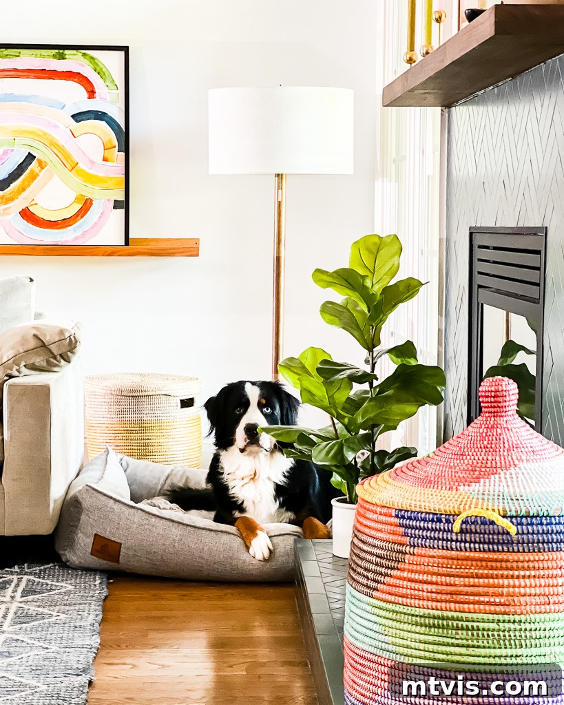 Your Realistic Roadmap to a Decluttered Home 12 Clutter-free family room with a neat sofa, coffee table, and minimal decor
