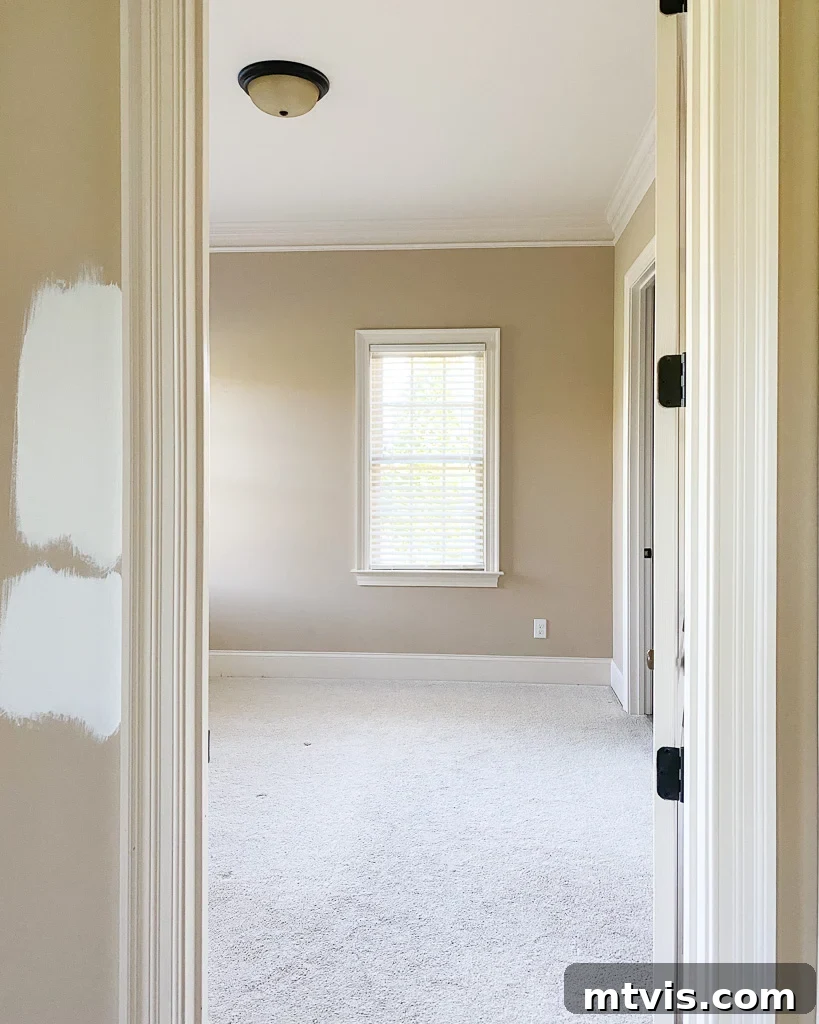 Sherwin Williams Pure White SW7005: Is This Your Perfect White? A Visual Review 3 Samples of Sherwin-Williams Pure White and Alabaster paint on a wall, showing their subtle differences.