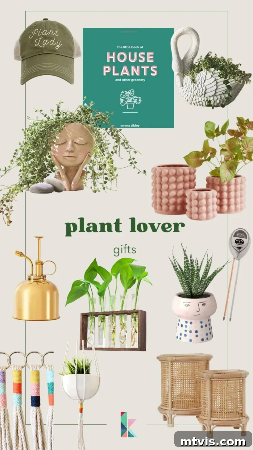 The Ultimate Holiday Gift Source 11 the best gifts for plant lovers for 2022