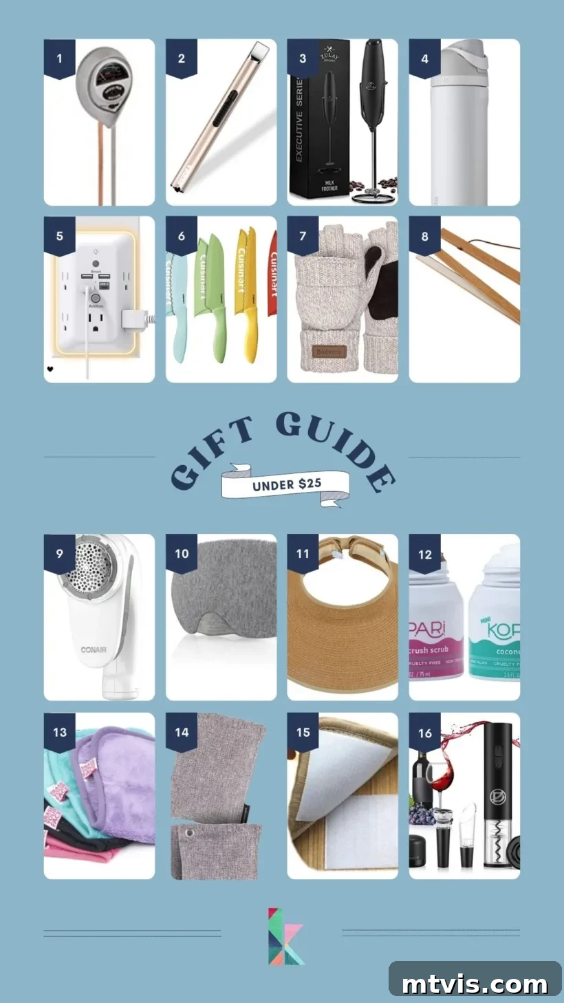 The Ultimate Holiday Gift Source 12 the best gifts under $25
