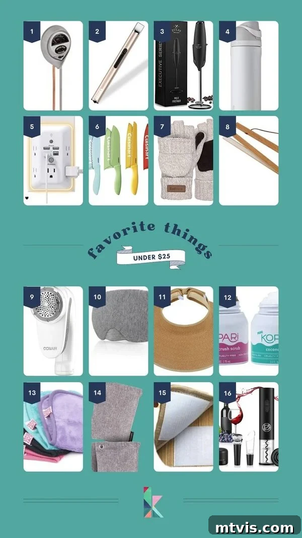 Favorite Things Gift Guide Under 25 Dollars 2 favorite things gifts ideas under $25, a curated collection of popular and unique items