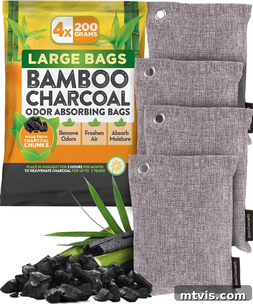 Favorite Things Gift Guide Under 25 Dollars 16 Odor Absorber Charcoal Bags for fresh air
