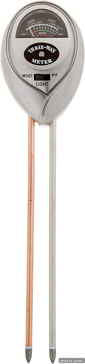 Favorite Things Gift Guide Under 25 Dollars 3 fiddle fig soil meter for healthy plants