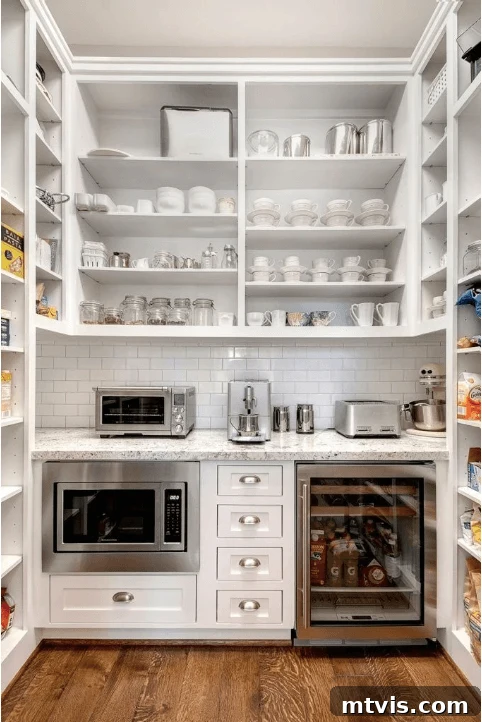 walk-in pantry with countertop for coffee and small work space