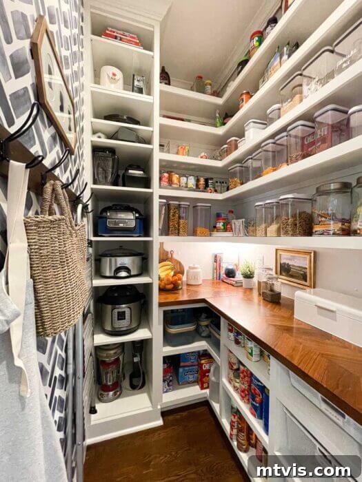 walk-in pantry with small shelves for appliances