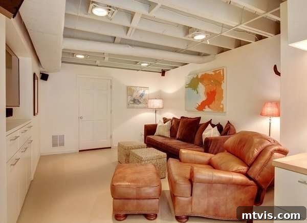 The Fifth Wall: Stunning Ceiling Designs 15 painted basement ceiling, exposing infrastructure but unified by color