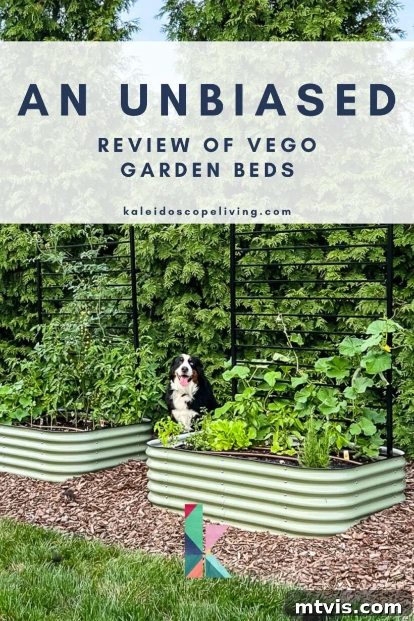 Image of Vego garden beds in a residential yard with a text overlay "Unbiased Review of Vego Garden Beds"