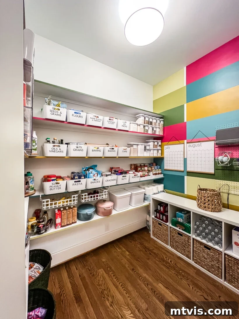 Thrifty Pantry Transformation 3 Vibrant, organized walk-in pantry after makeover with colorful mural and neat storage