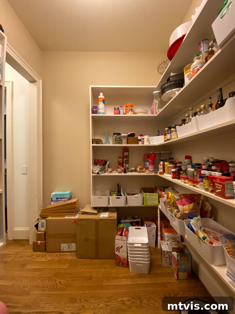 Thrifty Pantry Transformation 4 Before shot of a walk-in pantry showing high, evenly spaced shelves with wasted vertical space