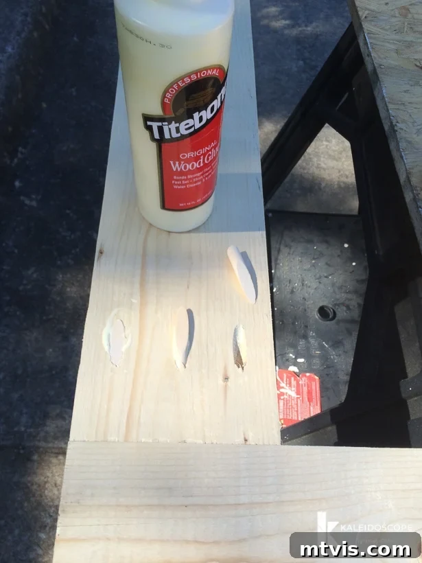 Craft Your Perfect Screen Door 8 Close-up of DIY screen door frame with wood plugs filling pocket holes