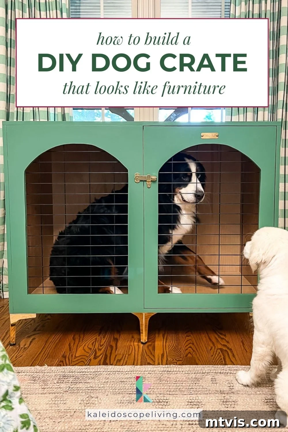 Bernese Mountain Dog inside a beautiful DIY wood dog crate painted green with elegant brass accents, blending seamlessly with home decor.