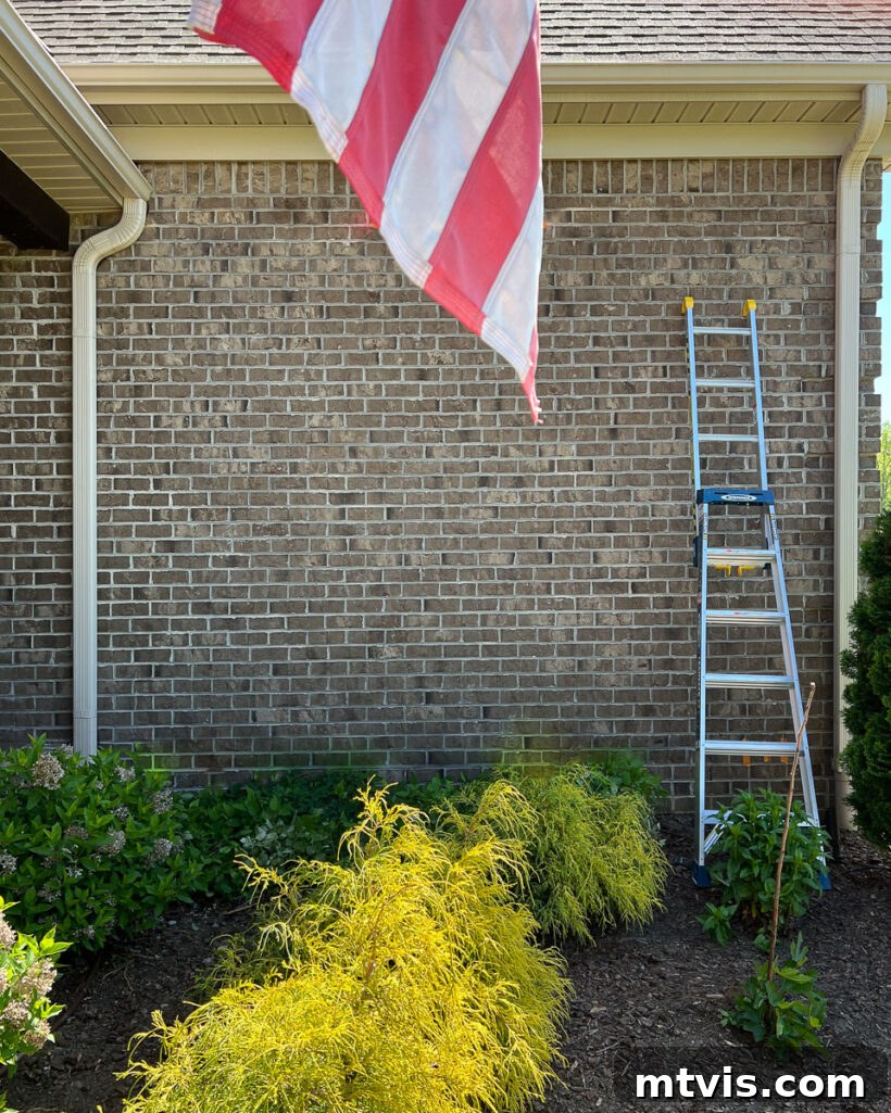 Before image of a blank brown brick wall on a house, awaiting a DIY wire trellis