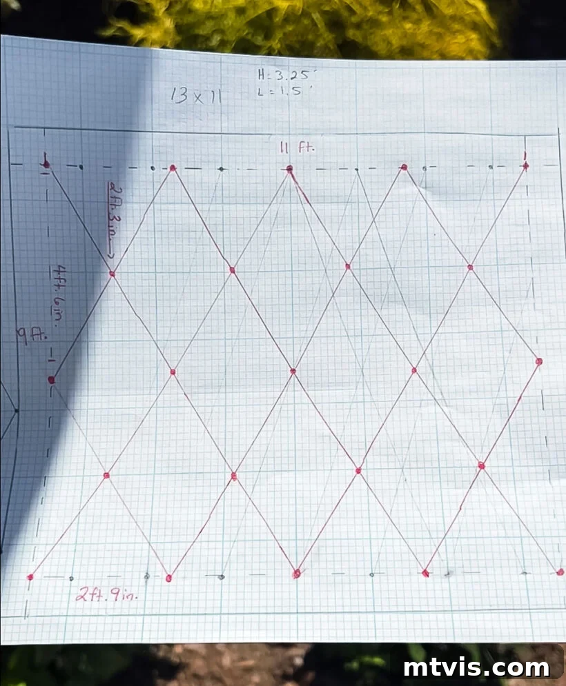 Graph paper sketch showing various diamond trellis design options for a brick wall