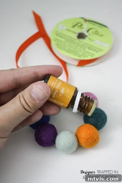 Homemade Pure Car Fragrance 8 A picture from the