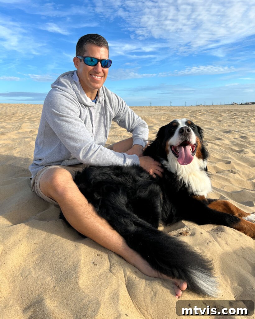 Our Dogs' Transformation on Ollie's Fresh Food 5 Man standing on a scenic beach with his Bernese Mountain Dog