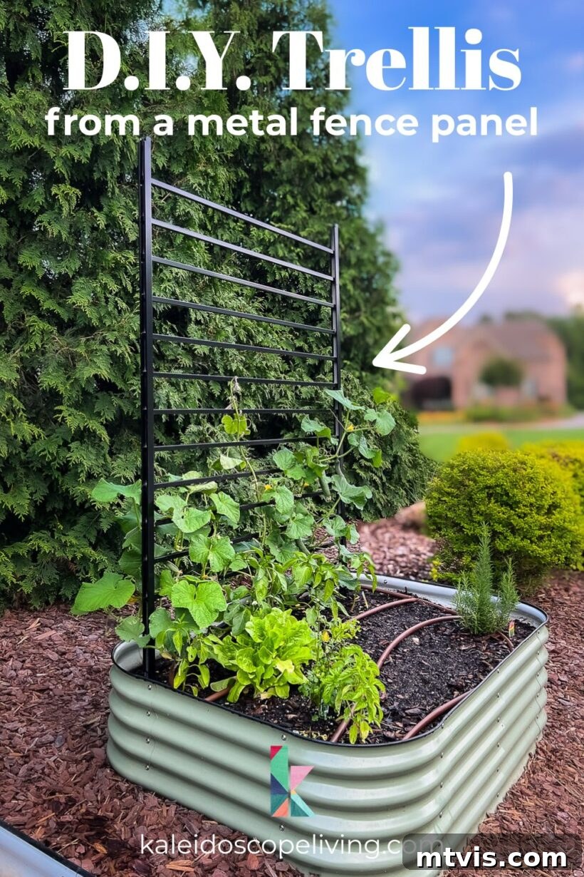A sleek, black modern DIY garden trellis standing tall in a Vego raised garden bed, ready to support climbing plants. Overlay text: "DIY Trellis from a Metal Fence Panel".