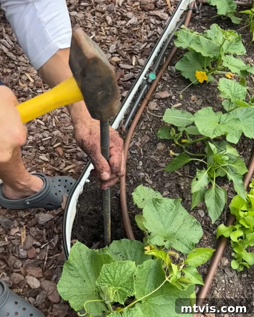 A person using a heavy-duty mallet to drive rebar into the ground for the DIY garden trellis, ensuring a sturdy foundation.