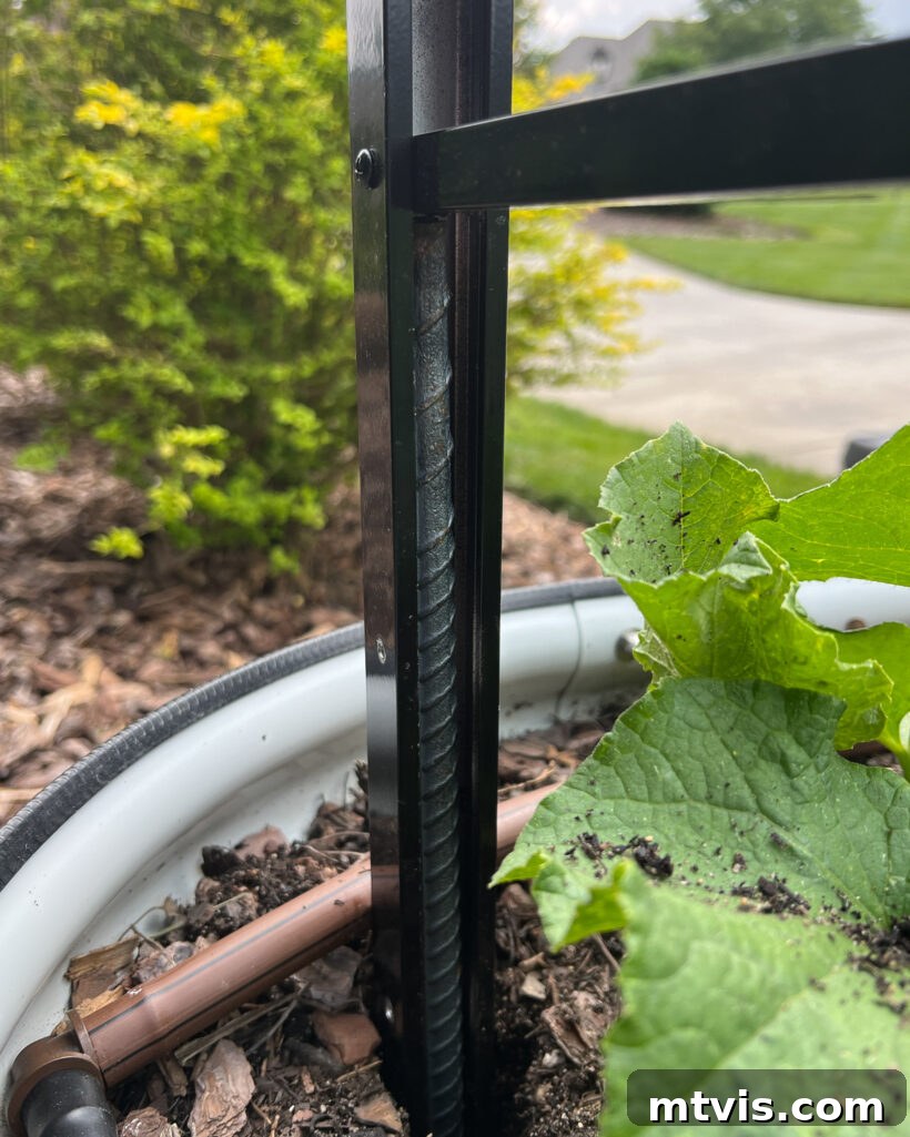 Close-up photo of rebar securely installed inside the edge of a metal fence rail, demonstrating the foundational connection for the DIY garden trellis.