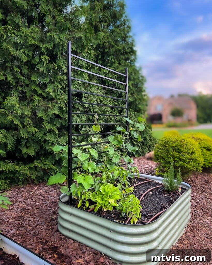 An alternative angle of the modern DIY garden trellis in a Vego raised bed, emphasizing its elegant and functional design.