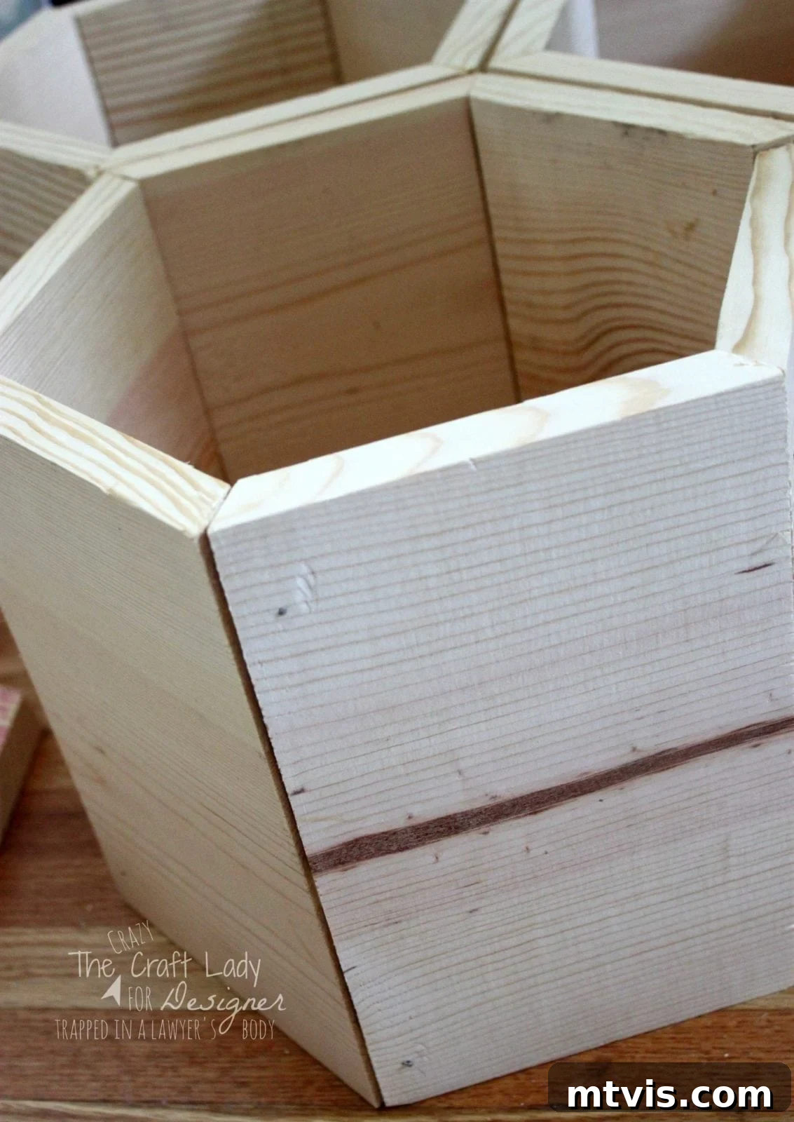 Honeycomb Shoe Organizer 12 A tilted close-up of wooden hexagonal shoe cubbies. The text in the lower corner reads,